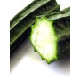 Courge éponge (Luffa cylindrica) env. 5 semences