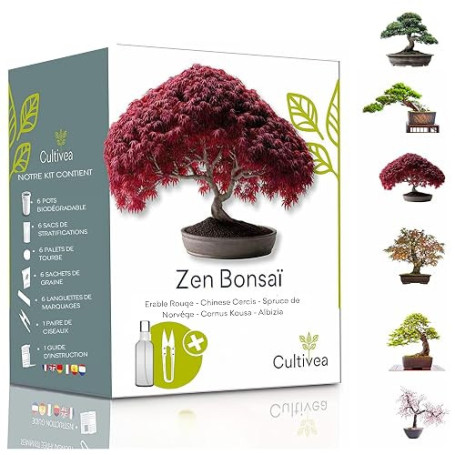 CULTIVEA® Mini Kit Prêt à Pousser 6 Bonsaï - Jardinez et décorez - Idée Cadeau (Red Mapple, Chinese Cercis, Albizia, Cornus Kous