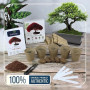 CULTIVEA® Mini Kit Prêt à Pousser 6 Bonsaï - Jardinez et décorez - Idée Cadeau (Red Mapple, Chinese Cercis, Albizia, Cornus Kous
