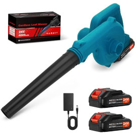 Souffleur sans Fil 24V – Puissant et Léger pour Jardin, Voiture, Atelier | 2 x 2000 mAh, 40 min, Charge Rapide, 0,9 kg, Certifié