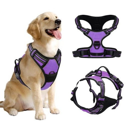 DKDDSSS Harnais Chien No Pull, Harnais Anti Traction pour Chien, Moyen, Violet M