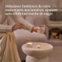 Bolsius D-Light - Lot de 60 Bougies Chauffe-Plat - Dans un Sachet - Durée de Combustion: 6 Heures - Décoratives - Blanches - Con