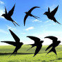 Luccyle 6pcs Blackbird Metal Wall Decoration, Swallow Metal Outdoor Decoration, Home Yard Bird Wall Sculpture Salon Salle de Bai