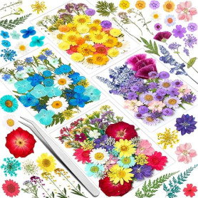 Vautvis 159 Fleurs Séchées Naturelles avec 1 Pince | Vraies Fleurs Pressées, Décoration Scrapbooking, Bougie Bricolage, Résine É