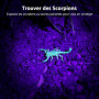Lepro Lampe UV 395nm Détecteur | 51 LEDs ultra-violet. Détecteur pour Traceurs Fluorescents Chien Chat Tapis Détecteur Urine Sco