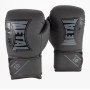 METAL BOXE Gants de Boxe Entrainement Starter
