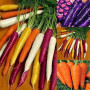 Adolenb Jardin-50pcs / sac multicolore Graines carotte Heirloom bio Graines Légumes Fruits ginseng carotte Graines Plante en pot