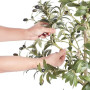 VEVOR Arbre Artificiel Olivier pour Maison Bureau Hôtel Centre Commercial | Plante Artificielle Verte 155 cm en PE, Feuillage Ré