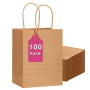 Gcardist Lot de 100 sacs-cadeaux marron avec poignées, grande taille 33 x 26 x 13 cm, papier kraft, universel (13 "x10,3" x 4,6"