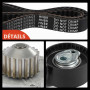 Frankberg Kit de courroie de distribution, courroie de distribution, pompe | Compatible avec: Jumpy VF7, Berlingo/Berlingo Premi