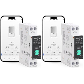 TONGOU SY2 JWT |WLAN Relais Intelligent Interrupteur | Mesure de puissance | Automatisation domestique | TUYA APP Aucun Hub Requ