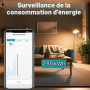 TONGOU SY2 JWT |WLAN Relais Intelligent Interrupteur | Mesure de puissance | Automatisation domestique | TUYA APP Aucun Hub Requ