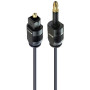 PremiumCord Câble Audio Optique Mini Toslink 3,5 mm vers Toslink 1 m, Mâle vers Mâle, Câble Numérique Pour Système Stéréo Hifi S