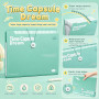 Trieur 12 Compartiments A4-12 compartiments, Plastique, Avec fermeture à cordon élastique, Idéal pour organiser vos documents au