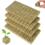 Vexnaro 200 Pièces Cubes de Laine de Roche Hydroponique, Blocs de Culture Respirants 25 x 25 x 25 mm, Bouchons de Plantation pou