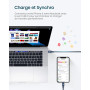 RAMPOW Cable iphone MFi Certifié Cable USB C vers Lightning Nylon Tressé 1M | Charge Rapide, Chargeur iPhone Power Delivery 3.0 