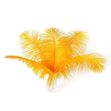 Ballinger Plumes d'Autruche Grandes Dorées en Vrac,12Pcs,25-30 cm | Plumes d'Autruche Longues Or Jaune pour Vase de Table, Décor