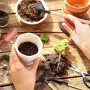 Lot de 30 Mini Outils de Jardin, Kit de Jardin succulente, kit de Cactus, Mini Outils de Jardinage d'intérieur pour Plantes succ