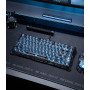 GravaStar Mercury V75 Lite Clavier Gaming Hall Effect,Polling Rate 8K | Dominez chaque duel FPS avec la technologie Hall, le Rap