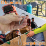 Lot de 16 mousquetons, 6 x 60 mm, petits, charge maximale : 180 kg, mousquetons pour porte-clés, camping, hamac, laisse pour chi