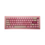 Tryhard Hayami – Clavier Magnétique Gaming 65% | Switchs Hall Effect Ultra-Réactifs 8000 Hz | ARGB Personnalisable | Layout Fran
