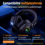 Ozeino Casque Gaming sans Fil pour PC PS5 PS4, 2.4GHz Audio sans Perte, USB & Type-C Casque de Jeu Ultra Stable avec Microphone 