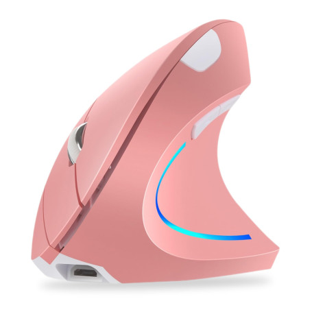WREWING Souris verticale ergonomique sans fil 2,4 GHz avec 4 DPI réglables 800/1200/1600/2400, 6 boutons, compatible avec PC, bu