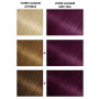 Garnier Coloration Permanente - Sans Ammoniaque - Aux Huiles Naturelles de Fleurs - Violine Profond (4.26) - Olia Vivids (Lot de