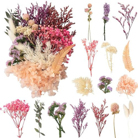 LAUMOE Fleurs Séchées, Fleurs Sechees Naturelles Fleur Séchée pour Bougies Fleurs Sechees Fleurs Séchées Vrac Fleur Sechees Deco