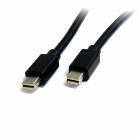 Mini câble DisplayPort Startech MDISP2M       (2 m) 4K Ultra HD Noir 28,99 €