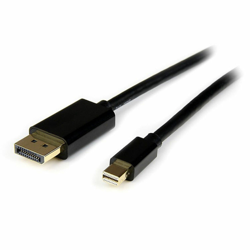 Câble Mini DisplayPort vers DisplayPort Startech MDP2DPmm4M Noir 4 m