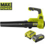 Souffleur RYOBI 36V Max Power - 1 batterie LithiumPlus 36V 4.0Ah - 1 cha 279,99 €